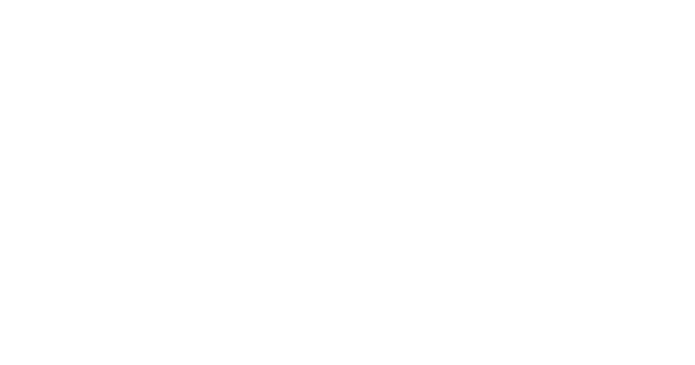 SPIN IT